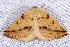  ( - 2009GM-0150)  @13 [ ] Copyright (2011) Gary McDonald Unspecified