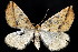  ( - 2009GM-0150)  @14 [ ] Copyright (2011) Gary McDonald Unspecified