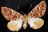  ( - 2009GM-0153)  @14 [ ] Copyright (2011) Gary McDonald Unspecified