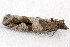  ( - 2009GM-0158)  @12 [ ] Copyright (2011) Gary McDonald Unspecified
