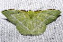  ( - 2009GM-0171)  @13 [ ] Copyright (2011) Gary McDonald Unspecified