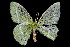  ( - 2009GM-0171)  @13 [ ] Copyright (2011) Gary McDonald Unspecified