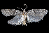  ( - 2011GM-0027)  @13 [ ] Copyright (2011) Gary McDonald Unspecified