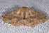  ( - 2011GM-0029)  @13 [ ] Copyright (2011) Gary McDonald Unspecified