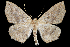  ( - 2011GM-0029)  @14 [ ] Copyright (2011) Gary McDonald Unspecified
