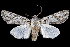  ( - 2011GM-0040)  @15 [ ] Copyright (2011) Gary McDonald Unspecified