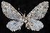  ( - 2011GM-0046)  @13 [ ] Copyright (2011) Gary McDonald Unspecified