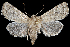  ( - 2011GM-0048)  @14 [ ] Copyright (2011) Gary McDonald Unspecified