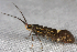  ( - 2011GM-0061)  @12 [ ] Copyright (2011) Gary McDonald Unspecified