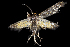  ( - 2011GM-0061)  @13 [ ] Copyright (2011) Gary McDonald Unspecified