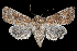  ( - 2011GM-0064)  @14 [ ] Copyright (2011) Gary McDonald Unspecified
