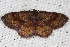 ( - 2011GM-0069)  @13 [ ] Copyright (2011) Gary McDonald Unspecified