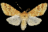  ( - 2011GM-0075)  @14 [ ] Copyright (2011) Gary McDonald Unspecified