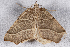  ( - 2011GM-0079)  @13 [ ] Copyright (2011) Gary McDonald Unspecified