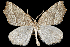  ( - 2011GM-0079)  @14 [ ] Copyright (2011) Gary McDonald Unspecified