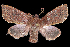  ( - 2011GM-0081)  @14 [ ] Copyright (2011) Gary McDonald Unspecified