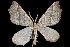  ( - 2011GM-0084)  @13 [ ] Copyright (2011) Gary McDonald Unspecified