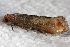  ( - 2011GM-0096)  @12 [ ] Copyright (2011) Gary McDonald Unspecified