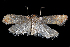 ( - 2011GM-0096)  @14 [ ] Copyright (2011) Gary McDonald Unspecified