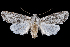  ( - 2011GM-0098)  @15 [ ] Copyright (2011) Gary McDonald Unspecified