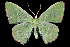  ( - 2011GM-0102)  @14 [ ] Copyright (2011) Gary McDonald Unspecified