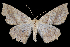  ( - 2011GM-0126)  @14 [ ] Copyright (2011) Gary McDonald Unspecified