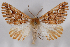  ( - 2011GM-0139)  @14 [ ] Copyright (2011) Gary McDonald Unspecified