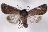  ( - 2011GM-0144)  @14 [ ] Copyright (2011) Gary McDonald Unspecified