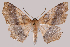  ( - 2011GM-0191)  @14 [ ] Copyright (2011) Gary McDonald Unspecified