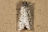  ( - 2011GM-0194)  @13 [ ] Copyright (2011) Gary McDonald Unspecified