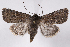  ( - 2011GM-0196)  @14 [ ] Copyright (2011) Gary McDonald Unspecified