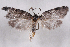  ( - 2011GM-0197)  @13 [ ] Copyright (2011) Gary McDonald Unspecified