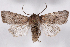  ( - 2011GM-0206)  @14 [ ] Copyright (2011) Gary McDonald Unspecified