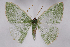  ( - 2011GM-0212)  @14 [ ] Copyright (2011) Gary McDonald Unspecified