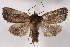  ( - 2011GM-0220)  @14 [ ] Copyright (2011) Gary McDonald Unspecified