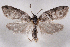  ( - 2011GM-0226)  @14 [ ] Copyright (2011) Gary McDonald Unspecified