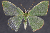  ( - 2011GM-0232)  @14 [ ] Copyright (2011) Gary McDonald Unspecified