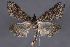  ( - 2011GM-0245)  @14 [ ] Copyright (2011) Gary McDonald Unspecified