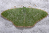  ( - 2011GM-0250)  @14 [ ] Copyright (2011) Gary McDonald Unspecified