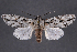 ( - 2011GM-0255)  @14 [ ] Copyright (2011) Gary McDonald Unspecified