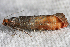  ( - 2011GM-0277)  @12 [ ] Copyright (2011) Gary McDonald Unspecified