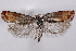  ( - 2011GM-0277)  @14 [ ] Copyright (2011) Gary McDonald Unspecified