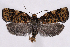  ( - 2011GM-0279)  @14 [ ] Copyright (2011) Gary McDonald Unspecified
