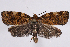  ( - 2011GM-0303)  @14 [ ] Copyright (2011) Gary McDonald Unspecified