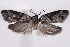  ( - 2011GM-0304)  @14 [ ] Copyright (2011) Gary McDonald Unspecified