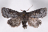  ( - 2011GM-0313)  @14 [ ] Copyright (2011) Gary McDonald Unspecified