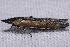  ( - 2011GM-0320)  @12 [ ] Copyright (2011) Gary McDonald Unspecified