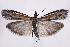  ( - 2011GM-0320)  @13 [ ] Copyright (2011) Gary McDonald Unspecified