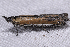  ( - 2011GM-0349)  @12 [ ] Copyright (2011) Gary McDonald Unspecified