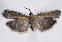  ( - 2011GM-0349)  @13 [ ] Copyright (2011) Gary McDonald Unspecified
